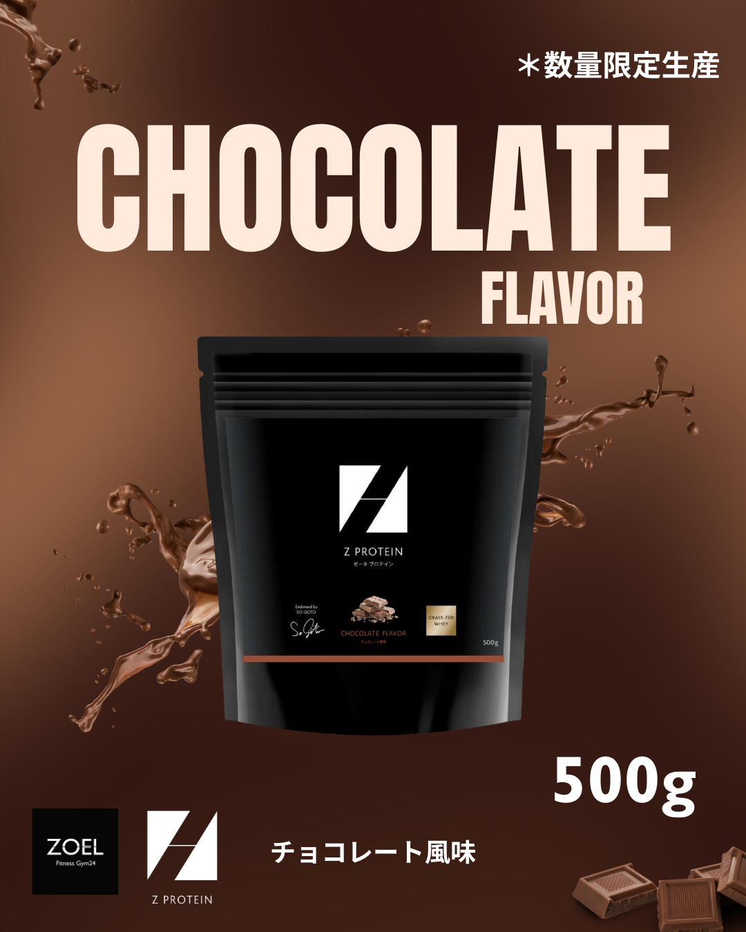Z PROTEIN/CHOCOLATE FLAVOR 500g